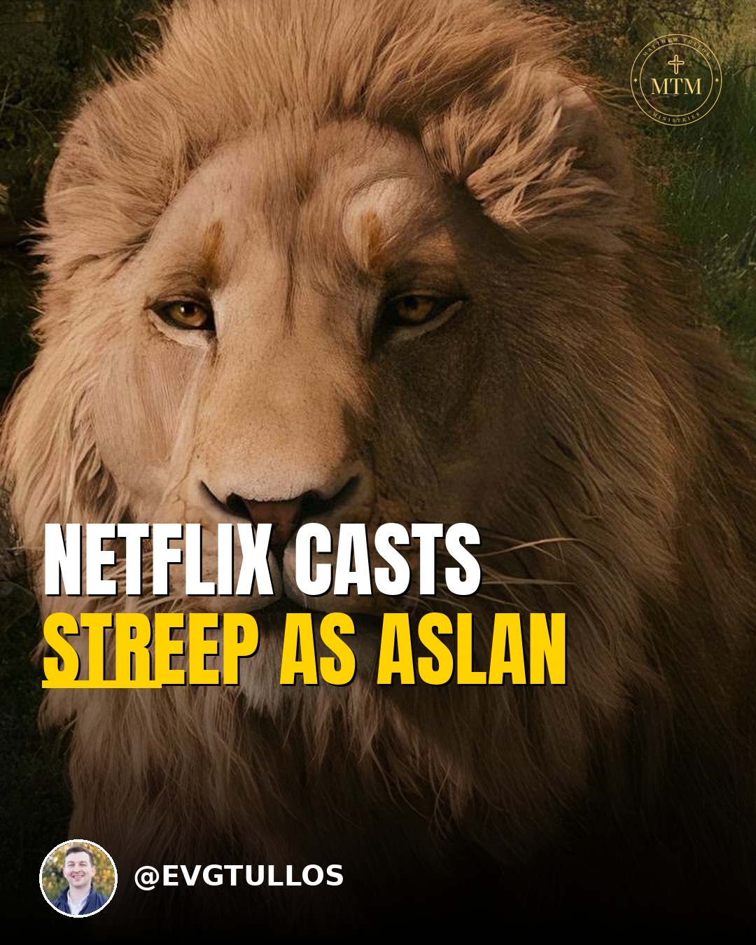Netflix Casts Streep as Aslan